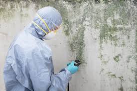 Best Water Damage & Mold Remediation  in Akron, NY